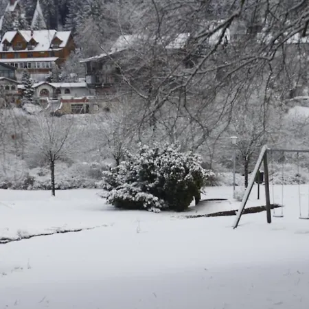 Haus Am Karpfenteich Hotel 3*