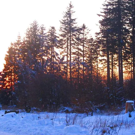 Haus Am Karpfenteich Goslar