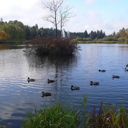 Haus Am Karpfenteich Hotel 3*
