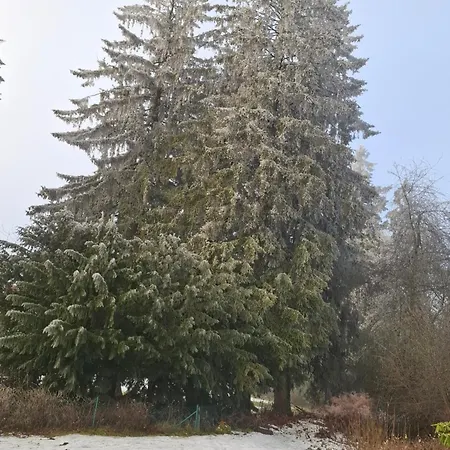 Haus Am Karpfenteich